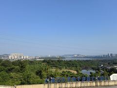 -张坝桂圆林公园