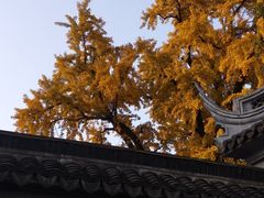 -龙寺生态园