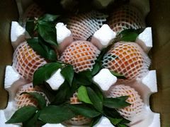 -张记卤菜店(三条巷店)