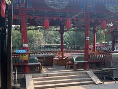 -尚庄度假村·庭台树下·户外烧烤·团建CS·轰趴营地(上庄水库店)