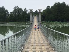 -东湖落雁景区