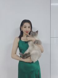 -Devilhands Barbershop男士理容店