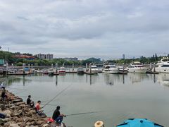 -长洲岛