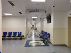 -上海市东方医院(总院)