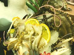 -尚海豆捞(乐虹坊店)