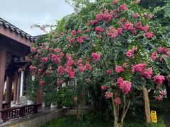 -惠州西湖风景名胜区-丰渚园