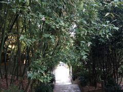 -鸡鸣赐茶(鸡鸣寺路店)