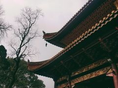 -南岳衡山风景名胜区-南岳大庙