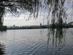 -济南大明湖景区