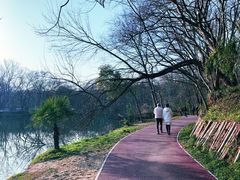 -灵谷景区