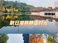 -重庆彩云湖湿地公园
