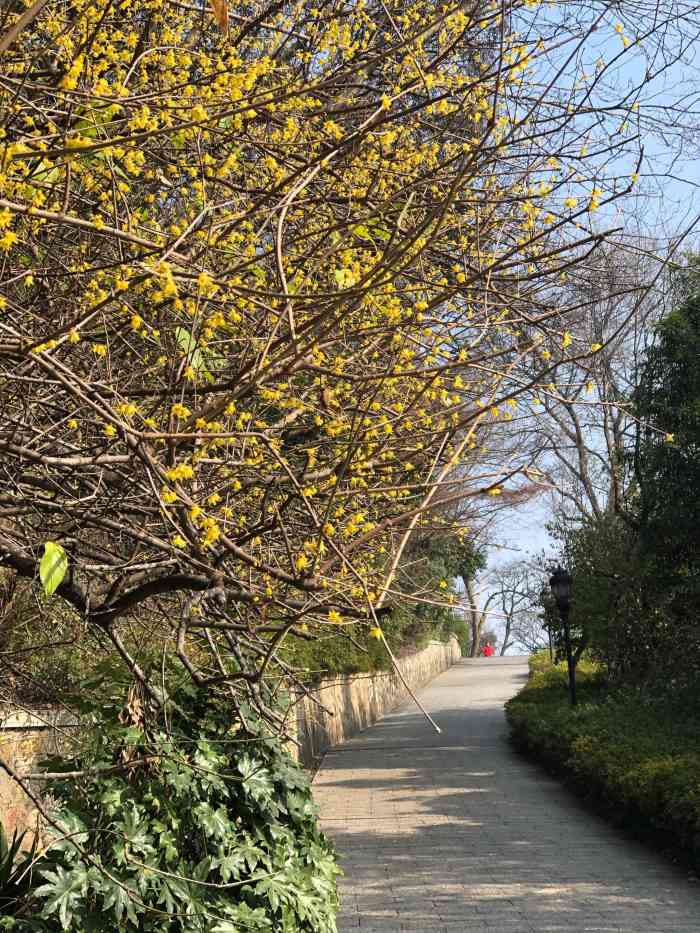 八字山公园-"早就听说八字山里有蹊跷,今天正好瞧一瞧.