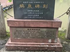 -靖西鹅泉风景区