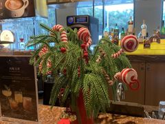 -The Lounge大堂酒廊·咖啡·沙拉·下午茶(金茂深圳JW万豪酒店)