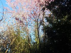 -和顺柏联温泉