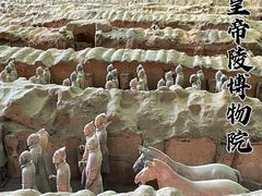 -秦始皇帝陵博物院(兵马俑)