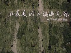 -WFC会仙楼观景台