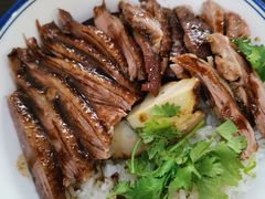 -春梅里卤鹅馆·47年老字号(中山路店)