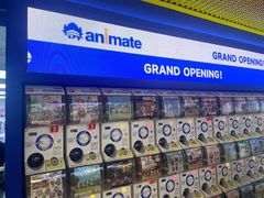 -animate(北京店)