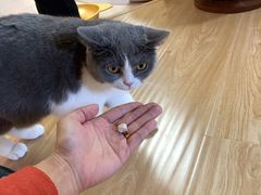 -猫和宫(六道口店)