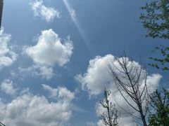 -成都大熊猫繁育研究基地
