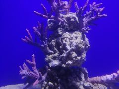 -江和美海洋公园