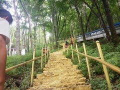 -帽儿山风景区