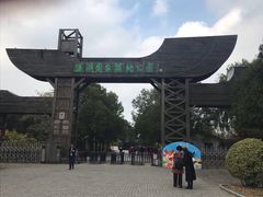 -溱湖国家湿地公园