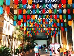 -杭州开元森泊度假乐园