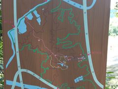 -滴水岩森林公园
