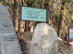 -泰山风景名胜区