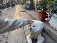 -麦当劳(交道口店)