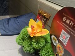 -阿五黄河大鲤鱼(河南长垣店)