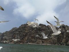 -海驴岛(荣成市)