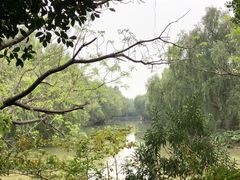 -大湾区中央湿地公园