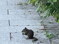 -秦岭终南山世界地质公园翠华山景区
