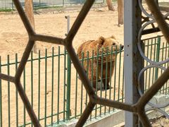 -秦皇岛野生动物园