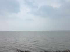 -合肥滨湖国家森林公园