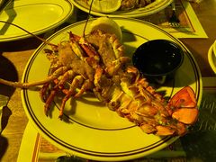 Union Special Lobster-Union Oyster House