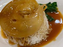 鱼翅捞饭-寻味顺德·南记酒家·传统顺德菜·鱼生(广源路店)