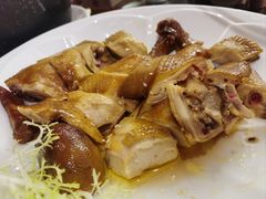 -京华世纪酒店·潮苑大酒楼(益华百货店)
