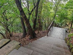 -龙泉洞(沙坪坝区)