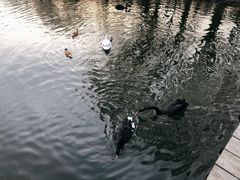 -长白岛森林公园