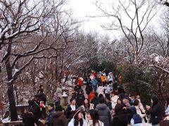 -紫金山山顶公园