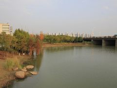 湿地-尚贤河湿地