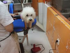 -惠康宠物医院(华能路店)