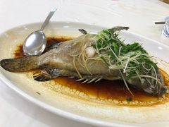 清蒸石斑-东江海鲜酒家(艺都分店)