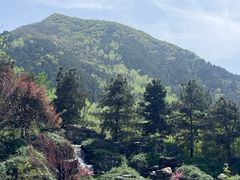 -秦岭欢乐世界