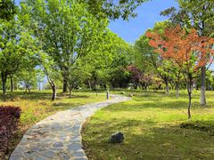 -白塘生态植物园