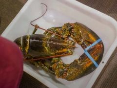 -鱼乐轩海鲜专门店